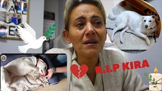 R.I.P KIRA 🕊  SIE IST VON UNS GEGANGEN 😥 DU FEHLST UNS SO SEHR 💔
