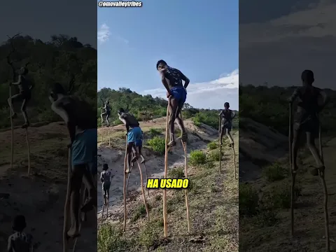 Esta tribu usa zancos para evitar serpientes y otros depredadores
