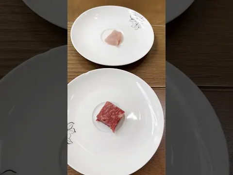 MI PERRO COMIÓ LA CARNE MÁS CARA DEL MUNDO