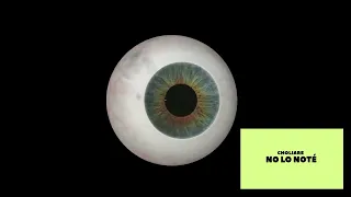@CHOLIARE - No Lo Noté (Official Audio)