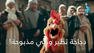 قصة دجاجة القاضي، من قصص الماضي. "الدجاجة التي طارت بعد ما ذبحت"