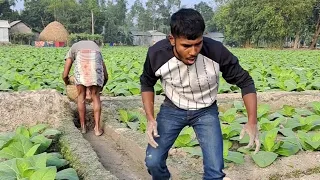 Two Men Came To Work On The Land And Got What They Got | Good Video | Village Fun13