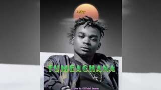 Tumeachana - Aslay ft Hanstone (Official Lyrics Video)