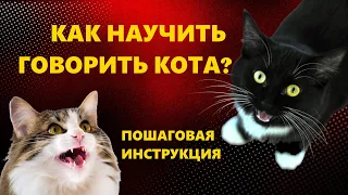 КОШКИ УМЕЮТ ГОВОРИТЬ?! Секреты разговоров раскрыты!