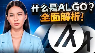 什么是Algo？全面解析!