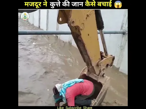 मजदूर ने अपनी जान को जोखिम में डालकर Dog 🐕 की जान को बचाई 😱 | #shorts
