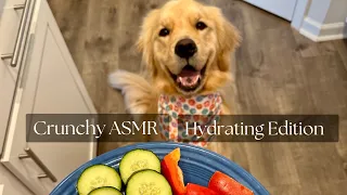 My dog has the cutest #asmr crunches on the internet