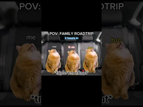 Cat Memes: Roadtrip PT. 1 | #shorts #cat #relatable