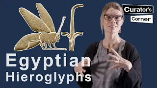 Learn how to read Ancient Egyptian Hieroglyphs with Ilona Regulski | Curator's Corner S7 E11