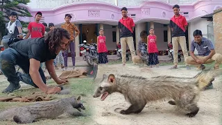 घर में निकले दो मुर्दाखोर जिसे पकड़ने के लिए भीड़ लग गई, हाथ में पकडाने के बाद भी भाग गया #Cvet #Cat