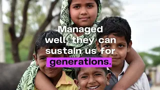 Building for the Long Term: The Case for Steward Leadership