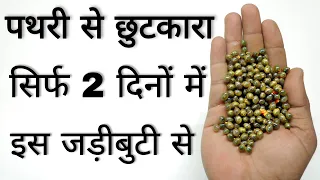 2 साल पुरानी पथरी 2 दिनों में निकल जाएगी इस जड़ी बुटी से pathri ka ilaaj, kidney stone treatment