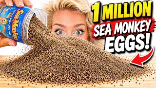 I Hatched 1,000,000 Sea Monkeys in a Giant Lava Lamp
