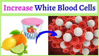 9 Ways To Increase White Blood Cells Naturally