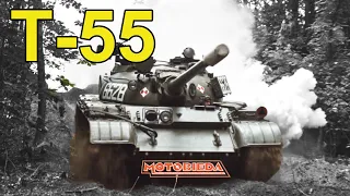 Czołg T-55 ma gdzieś twoje normy Euro - MotoBieda