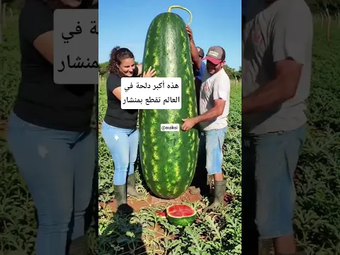#السعودية #مصر #سوريا #تركيا #المغرب #السودان #ليبيا #لبنان #الجزائر #قطر #الأردن #العراق #البحرين
