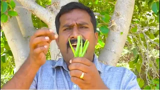 எப்படிப்பட்ட உடல்வலியையும், உடல் சோர்வையும் போக்கும் இயற்கை காய்