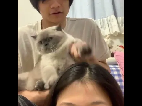所有小貓！開始反擊！ #敲貓頭 #反擊戰 #玩法合夥人計劃 #演繹玩法達人成長營