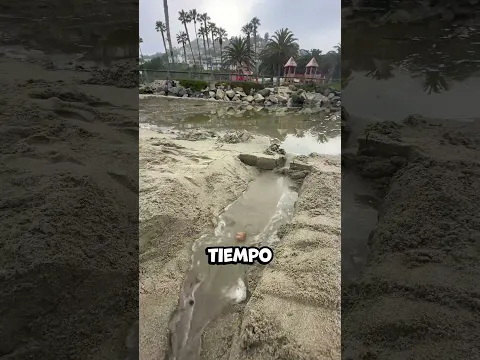 ¿Cómo logró hacer esto? / TT: @solaglocal