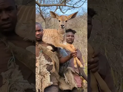 Hadzabe Hunt Successfully|Episode 4 #shorts