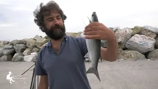 Morski ribolov od breg na CIPAL  KEFAL SALPA so majstor Dano 2 del