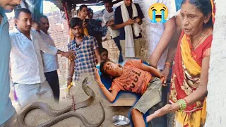 कोबरा सांप ने डस लिया फिर जो हुआ 🤔 ??  कैमरे में कैद हुई घटना || Ballia rescue team - 7985258402