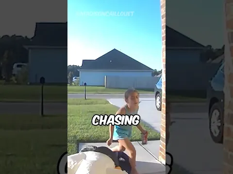 She Recorded Who Chased Her Daughter! 📸😱 (@madisoncaillouet)