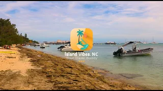 A New Caledonia Picnic. 10 Minutes from Nouméa, Anse Vata beach | Island Vibes NC 🇳🇨