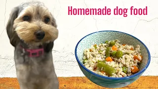 The Best Homemade Dog Food Recipe: Just 3 Ingredients!