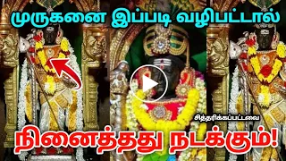 முருகன் அபிஷேகம் ! 1 நிமிடம் பார்த்தால் தலையெழுத்தை மாற்றும் ! காணக்கிடைக்காத வீடியோ ! #முருகன்