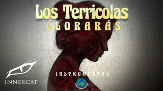 Los Terricolas - Llorarás (Instrumental Cover Video)