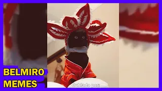 Belmiro Memes: Melhores dublagens engraçadas da semana 42