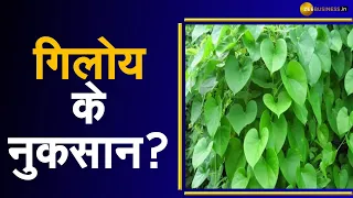 Aapki Khabar Aapka Fayda: गिलोय के क्या हैं नुकसान? | Covid 19 | Disadvantages | India Corona Update