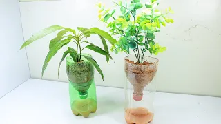 Guide to Recycling Plastic Bottles To Grow Trees