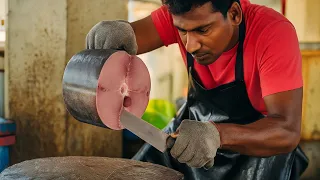 WOW 🤩 Incredible Tuna Cutting Skills | Satisfying Fish Cutting ASMR | Skipjack Tuna Mastery