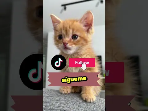 Falló Terriblemente pero Sorprendió a Todos Después! 😱🏆