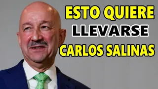 Esto se quiere llevar Carlos Salinas. ¡AMLO no lo va a permitir!