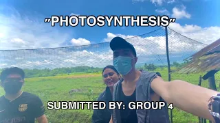 PERFORMANCE TASK GROUP 4