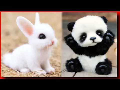 🤯 दुनिया के 3 सबसे छोटे जानवर 🐒 3 Most smallest animals🦌In The World 😱🤯 Part-2 #shorts