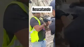 ....R