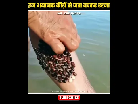 ये कीड़े क्यों चिपकते है 🤔👀 | Ticks On Human #shorts