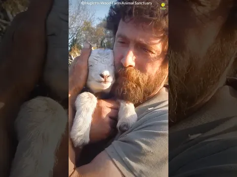 Animals teach us love ❤️