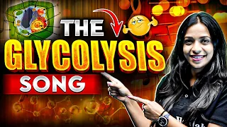 Learn The Steps Of Glycolysis Like Never Before 🎵🔥