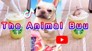 Super Cute Dog🐶 #shorts #tiktok #sigma