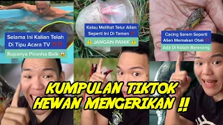 Kumpulan tiktok hewan paling mengerikan ‼️😱⚠️