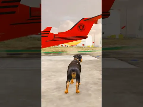 GTA5 : Dogs Teach Us Love In Its Purest Form 🥰🥺💔 Part-6 #shorts #shortsfeed #gta5
