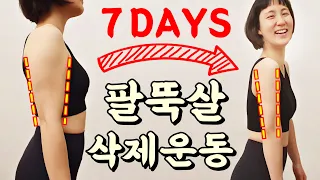 5분! 팔뚝살 빨리빼는운동 / 상체 다이어트 [팔뚝살 마라맛🔥]