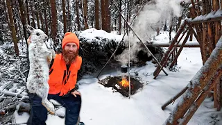 Surviving -28C Winter - Eating What We Find in the Woods! (ASMR)