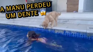 NOSSA CACHORRA ATACOU A MANU E ELA PERDEU UM DENTE