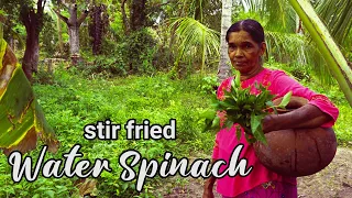 Water spinach  recipe cooking in village | kankun recipe